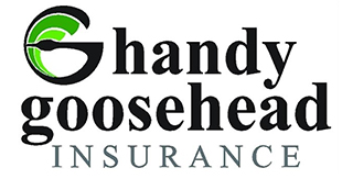 Handy Goosehead Insurance